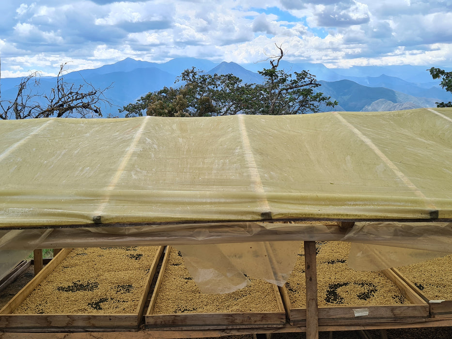 Peru - La Higuera - Organic